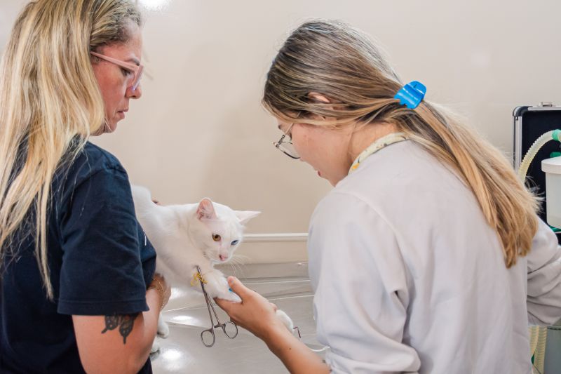  <div class='credito_fotos'>Foto: Karla Reis &nbsp;&nbsp;|&nbsp;&nbsp; <a href='/midias/2025/originais/8041_a2a889a9-e06f-6c9c-7cdd-fa42ffe18237.jpg' download><i class='fa-solid fa-download'></i> Download</a></div>