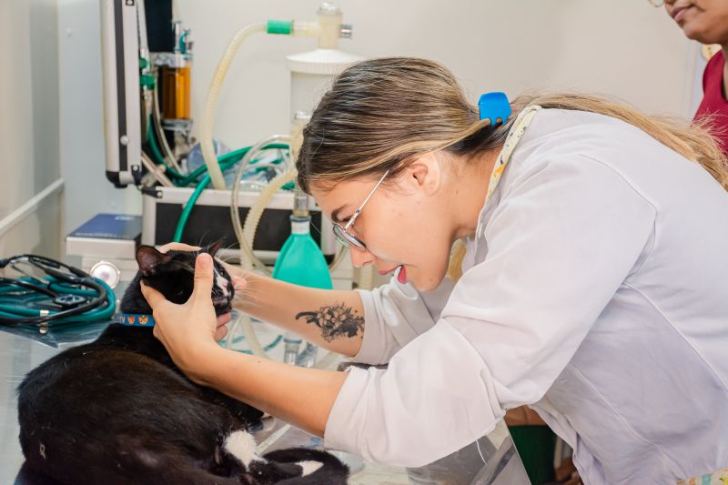  <div class='credito_fotos'>Foto: Karla Reis &nbsp;&nbsp;|&nbsp;&nbsp; <a href='/midias/2025/originais/8041_aab7e8df-dcfc-f968-5b22-f709fe95f4fd.jpg' download><i class='fa-solid fa-download'></i> Download</a></div>