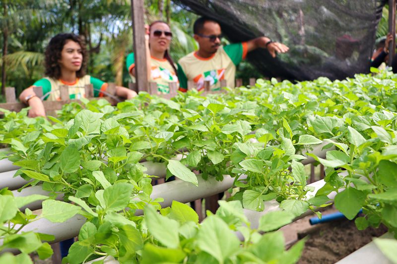 ENCERRAMENTO DO SEMINÁRIO DE PLANEJAMENTO SEMAGRI - VISITA A PROPRIEDADE SO SR LUIZ <div class='credito_fotos'>Foto: Márcio Souza &nbsp;&nbsp;|&nbsp;&nbsp; <a href='/midias/2025/originais/8050_f4018a07-03af-4b29-a9ff-0fc5535577bb.jpg' download><i class='fa-solid fa-download'></i> Download</a></div>