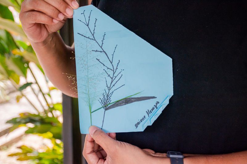  <div class='credito_fotos'>Foto: Karla Reis &nbsp;&nbsp;|&nbsp;&nbsp; <a href='/midias/2025/originais/8051_557a821b-81fb-92ba-f791-79ffaf363f7c.jpg' download><i class='fa-solid fa-download'></i> Download</a></div>