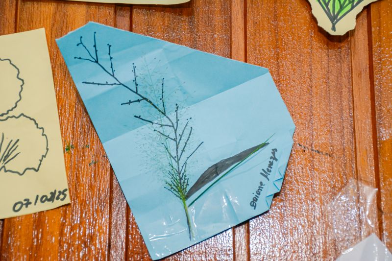  <div class='credito_fotos'>Foto: Karla Reis &nbsp;&nbsp;|&nbsp;&nbsp; <a href='/midias/2025/originais/8051_6be4b7bc-db5d-8d8a-0e92-68bc5c3fc603.jpg' download><i class='fa-solid fa-download'></i> Download</a></div>