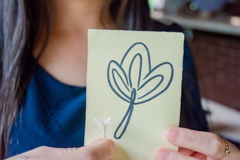  <div class='credito_fotos'>Foto: Karla Reis &nbsp;&nbsp;|&nbsp;&nbsp; <a href='/midias/2025/originais/8051_6c1a67a1-fd0b-75c0-6d60-b3e9265459d2.jpg' download><i class='fa-solid fa-download'></i> Download</a></div>