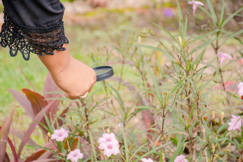  <div class='credito_fotos'>Foto: Karla Reis &nbsp;&nbsp;|&nbsp;&nbsp; <a href='/midias/2025/originais/8051_7fc370ab-ad4d-0777-b802-48ccc5cadcb6.jpg' download><i class='fa-solid fa-download'></i> Download</a></div>