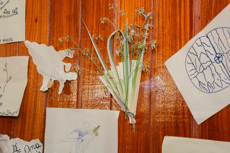  <div class='credito_fotos'>Foto: Karla Reis &nbsp;&nbsp;|&nbsp;&nbsp; <a href='/midias/2025/originais/8051_a14b7415-85be-7d22-3d42-71132b5649d8.jpg' download><i class='fa-solid fa-download'></i> Download</a></div>