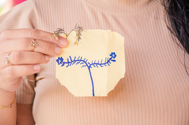  <div class='credito_fotos'>Foto: Karla Reis &nbsp;&nbsp;|&nbsp;&nbsp; <a href='/midias/2025/originais/8051_ec803367-180f-f043-4893-fe4907c4de1f.jpg' download><i class='fa-solid fa-download'></i> Download</a></div>