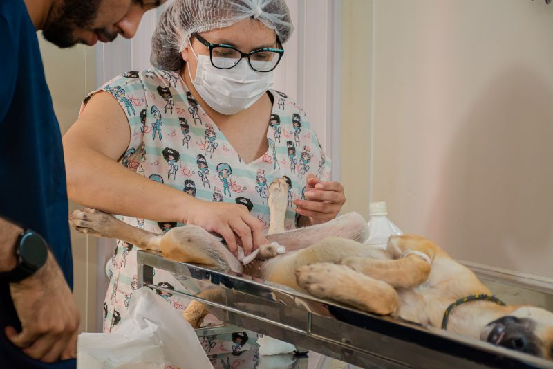  <div class='credito_fotos'>Foto: Karla Reis &nbsp;&nbsp;|&nbsp;&nbsp; <a href='/midias/2025/originais/8063_428a1aa4-deab-3641-fb98-39f971347679.jpg' download><i class='fa-solid fa-download'></i> Download</a></div>