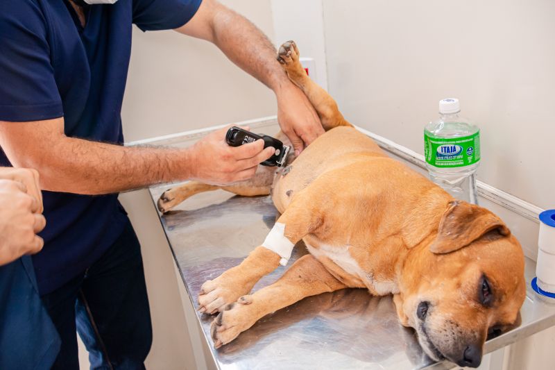  <div class='credito_fotos'>Foto: Karla Reis &nbsp;&nbsp;|&nbsp;&nbsp; <a href='/midias/2025/originais/8063_ad18641e-7888-618a-a660-25d55dce7efb.jpg' download><i class='fa-solid fa-download'></i> Download</a></div>