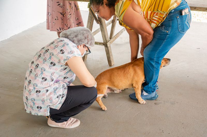  <div class='credito_fotos'>Foto: Karla Reis &nbsp;&nbsp;|&nbsp;&nbsp; <a href='/midias/2025/originais/8063_d9f7f7fa-f017-ca79-0bf8-66b2c60850a2.jpg' download><i class='fa-solid fa-download'></i> Download</a></div>