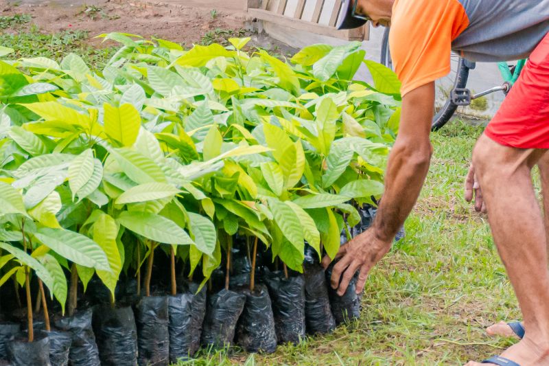  <div class='credito_fotos'>Foto: Karla Reis &nbsp;&nbsp;|&nbsp;&nbsp; <a href='/midias/2025/originais/8070_1e530e81-c11e-7d41-2012-08e7b053f70c.jpg' download><i class='fa-solid fa-download'></i> Download</a></div>