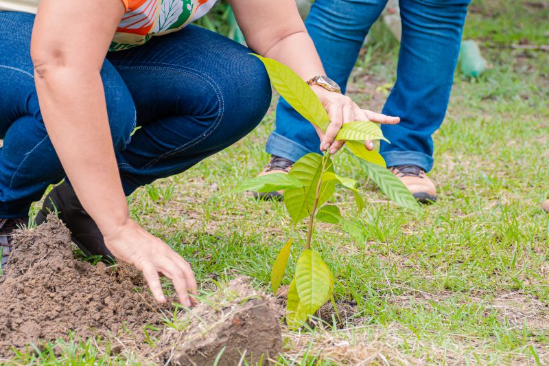  <div class='credito_fotos'>Foto: Karla Reis &nbsp;&nbsp;|&nbsp;&nbsp; <a href='/midias/2025/originais/8070_265ee69f-914e-e29c-6a60-3e1b202fa1fb.jpg' download><i class='fa-solid fa-download'></i> Download</a></div>