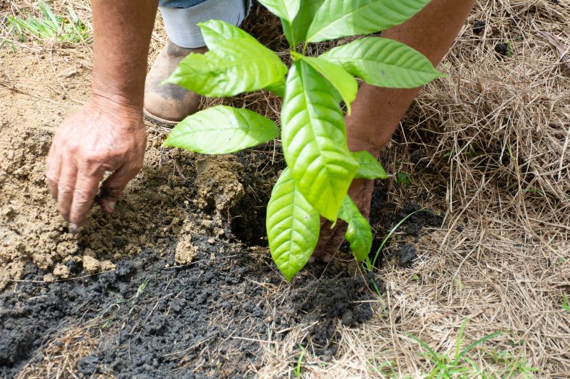  <div class='credito_fotos'>Foto: Karla Reis &nbsp;&nbsp;|&nbsp;&nbsp; <a href='/midias/2025/originais/8070_6f79a0ed-f61c-533d-7a7c-3594f50c5f48.jpg' download><i class='fa-solid fa-download'></i> Download</a></div>