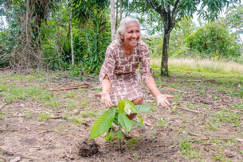  <div class='credito_fotos'>Foto: Karla Reis &nbsp;&nbsp;|&nbsp;&nbsp; <a href='/midias/2025/originais/8070_9ed7264a-28a4-0e56-16cb-2bc753c5c485.jpg' download><i class='fa-solid fa-download'></i> Download</a></div>