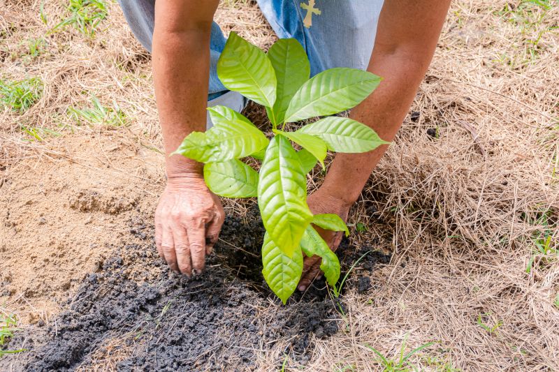  <div class='credito_fotos'>Foto: Karla Reis &nbsp;&nbsp;|&nbsp;&nbsp; <a href='/midias/2025/originais/8070_bfec133d-b7e3-8ee7-452b-927e0e3207af.jpg' download><i class='fa-solid fa-download'></i> Download</a></div>