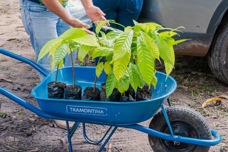  <div class='credito_fotos'>Foto: Karla Reis &nbsp;&nbsp;|&nbsp;&nbsp; <a href='/midias/2025/originais/8070_cabce50c-5939-52a3-30d9-c814ea1e947d.jpg' download><i class='fa-solid fa-download'></i> Download</a></div>