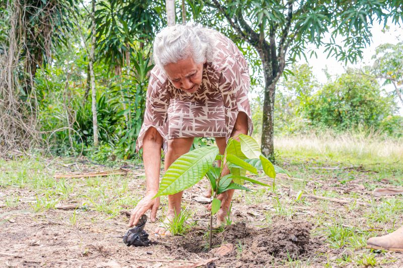  <div class='credito_fotos'>Foto: Karla Reis &nbsp;&nbsp;|&nbsp;&nbsp; <a href='/midias/2025/originais/8070_cfd010d4-f91f-9d80-356a-4dcf8421e313.jpg' download><i class='fa-solid fa-download'></i> Download</a></div>