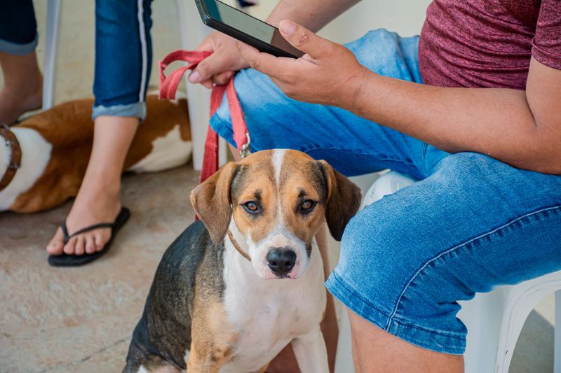  <div class='credito_fotos'>Foto: Karla Reis &nbsp;&nbsp;|&nbsp;&nbsp; <a href='/midias/2025/originais/8087_2c2ec221-358c-7f67-48e6-9da30337b76c.jpg' download><i class='fa-solid fa-download'></i> Download</a></div>