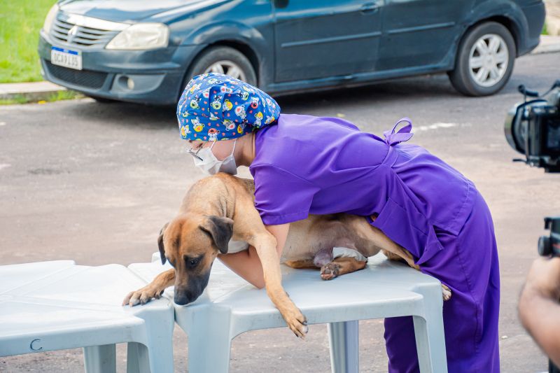  <div class='credito_fotos'>Foto: Karla Reis &nbsp;&nbsp;|&nbsp;&nbsp; <a href='/midias/2025/originais/8087_d64377aa-d19f-d272-b572-78cf95ebd3a1.jpg' download><i class='fa-solid fa-download'></i> Download</a></div>