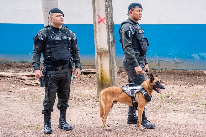  <div class='credito_fotos'>Foto: Karla Reis &nbsp;&nbsp;|&nbsp;&nbsp; <a href='/midias/2025/originais/8105_6b7bacb8-6d3e-2c1d-3d27-3480a36e4b6d.jpg' download><i class='fa-solid fa-download'></i> Download</a></div>