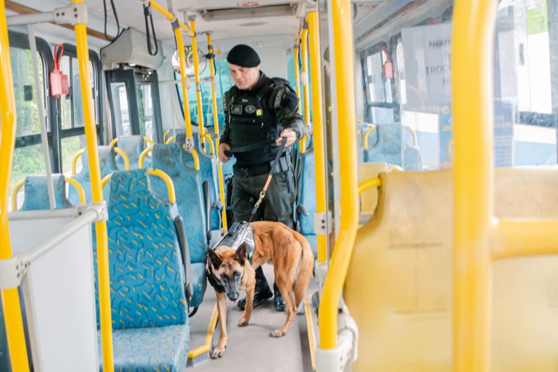  <div class='credito_fotos'>Foto: Karla Reis &nbsp;&nbsp;|&nbsp;&nbsp; <a href='/midias/2025/originais/8105_d1f6f571-8dc2-8506-b69d-937d83408ac4.jpg' download><i class='fa-solid fa-download'></i> Download</a></div>