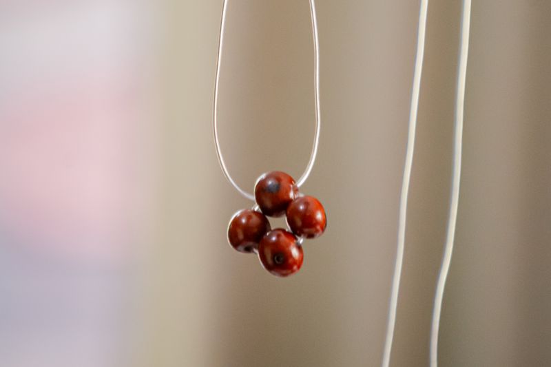  <div class='credito_fotos'>Foto: Karla Reis &nbsp;&nbsp;|&nbsp;&nbsp; <a href='/midias/2025/originais/9113_a4f9db3b-7f67-8726-569a-8ec87dcda34a.jpg' download><i class='fa-solid fa-download'></i> Download</a></div>