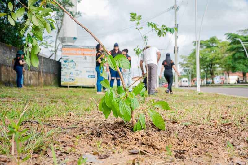  <div class='credito_fotos'>Foto: Karla Reis &nbsp;&nbsp;|&nbsp;&nbsp; <a href='/midias/2025/originais/9116_0af5cb00-ea67-58a0-d17b-d39424852bf5.jpg' download><i class='fa-solid fa-download'></i> Download</a></div>