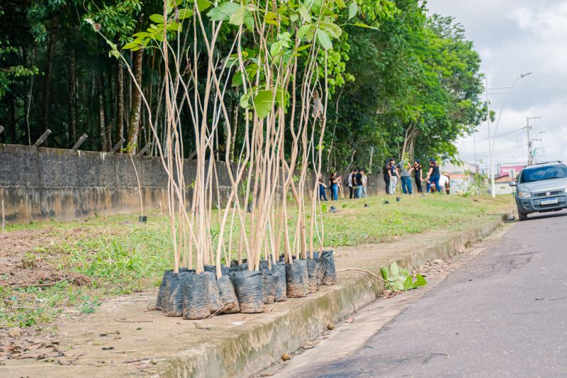  <div class='credito_fotos'>Foto: Karla Reis &nbsp;&nbsp;|&nbsp;&nbsp; <a href='/midias/2025/originais/9116_172ce7e1-571d-453f-8fb7-81e15f871a26.jpg' download><i class='fa-solid fa-download'></i> Download</a></div>