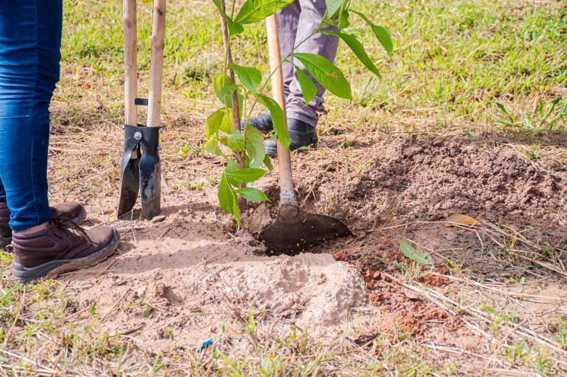  <div class='credito_fotos'>Foto: Karla Reis &nbsp;&nbsp;|&nbsp;&nbsp; <a href='/midias/2025/originais/9116_4b44f791-6753-5c0d-0e67-c89863a64ce9.jpg' download><i class='fa-solid fa-download'></i> Download</a></div>