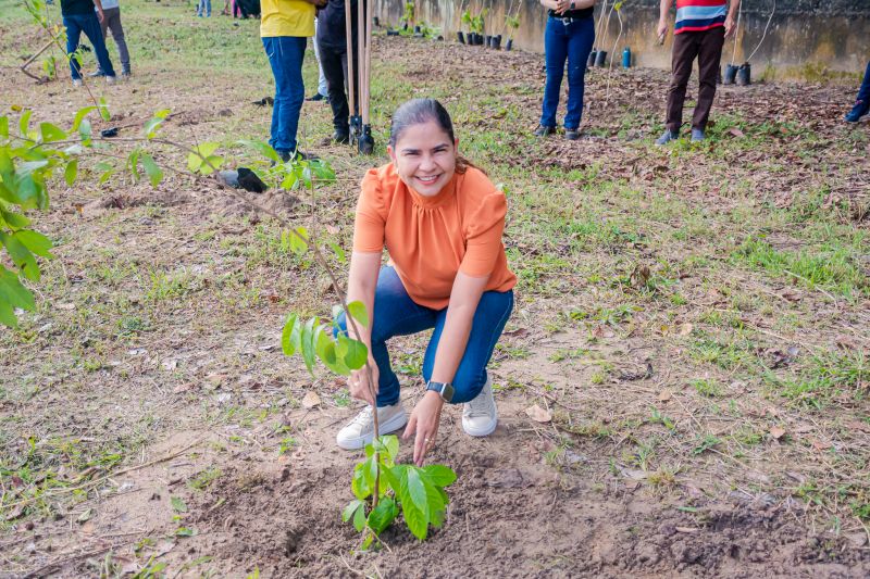  <div class='credito_fotos'>Foto: Karla Reis &nbsp;&nbsp;|&nbsp;&nbsp; <a href='/midias/2025/originais/9116_53d92603-7ff1-085b-3aab-395376cc9b3f.jpg' download><i class='fa-solid fa-download'></i> Download</a></div>