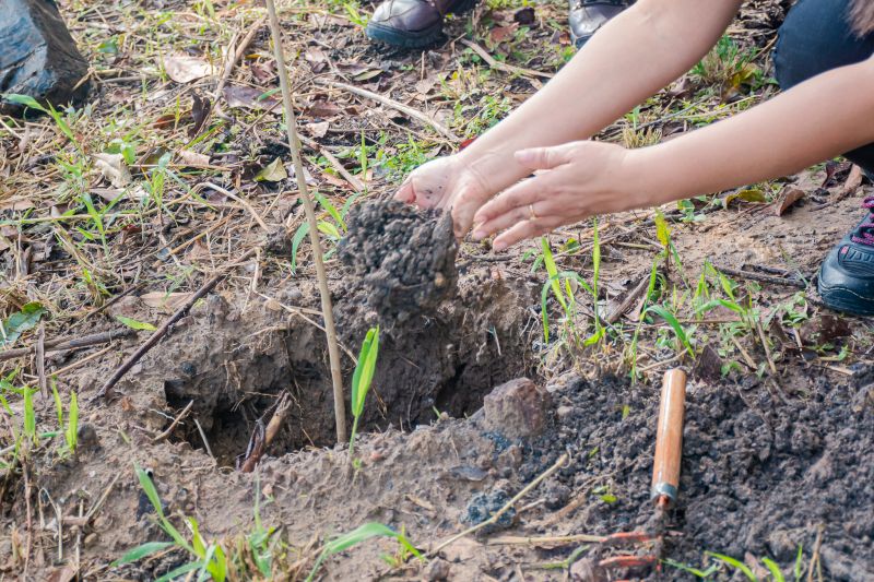  <div class='credito_fotos'>Foto: Karla Reis &nbsp;&nbsp;|&nbsp;&nbsp; <a href='/midias/2025/originais/9116_885c70c2-603f-9eec-bb75-fdc9c585efc6.jpg' download><i class='fa-solid fa-download'></i> Download</a></div>