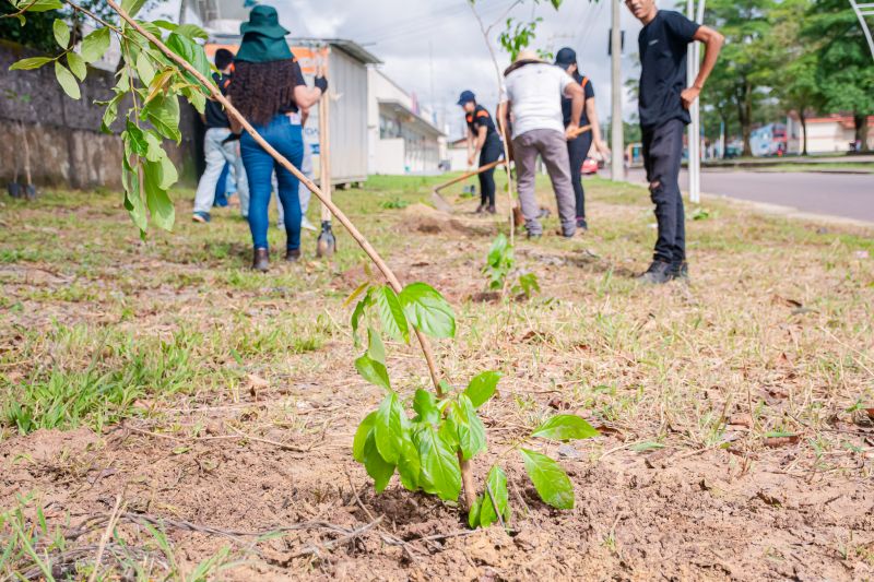  <div class='credito_fotos'>Foto: Karla Reis &nbsp;&nbsp;|&nbsp;&nbsp; <a href='/midias/2025/originais/9116_a04812b1-1b57-8edd-755e-9aff3cced23e.jpg' download><i class='fa-solid fa-download'></i> Download</a></div>