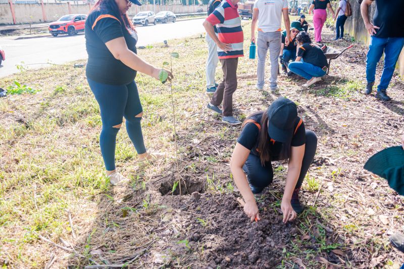  <div class='credito_fotos'>Foto: Karla Reis &nbsp;&nbsp;|&nbsp;&nbsp; <a href='/midias/2025/originais/9116_b9fa7cc7-f833-81ba-434a-cd8c310a7aea.jpg' download><i class='fa-solid fa-download'></i> Download</a></div>