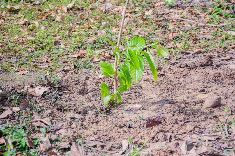  <div class='credito_fotos'>Foto: Karla Reis &nbsp;&nbsp;|&nbsp;&nbsp; <a href='/midias/2025/originais/9116_c6bf661b-5042-6860-9e1b-a3a49e60f6a1.jpg' download><i class='fa-solid fa-download'></i> Download</a></div>