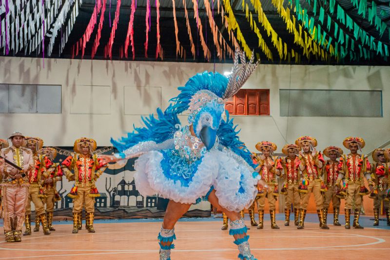  <div class='credito_fotos'>Foto: Karla Reis &nbsp;&nbsp;|&nbsp;&nbsp; <a href='/midias/2025/originais/9136_081c5666-8414-fc44-21f3-84823e04503d.jpg' download><i class='fa-solid fa-download'></i> Download</a></div>