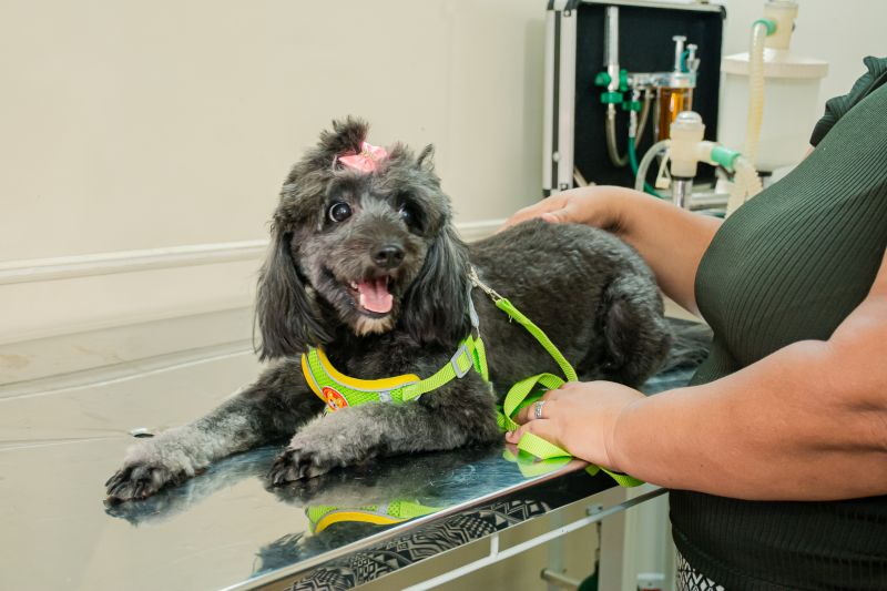  <div class='credito_fotos'>Foto: Karla Reis &nbsp;&nbsp;|&nbsp;&nbsp; <a href='/midias/2025/originais/9137_0ddb3ab2-f325-7f83-dad9-be44898c3aab.jpg' download><i class='fa-solid fa-download'></i> Download</a></div>