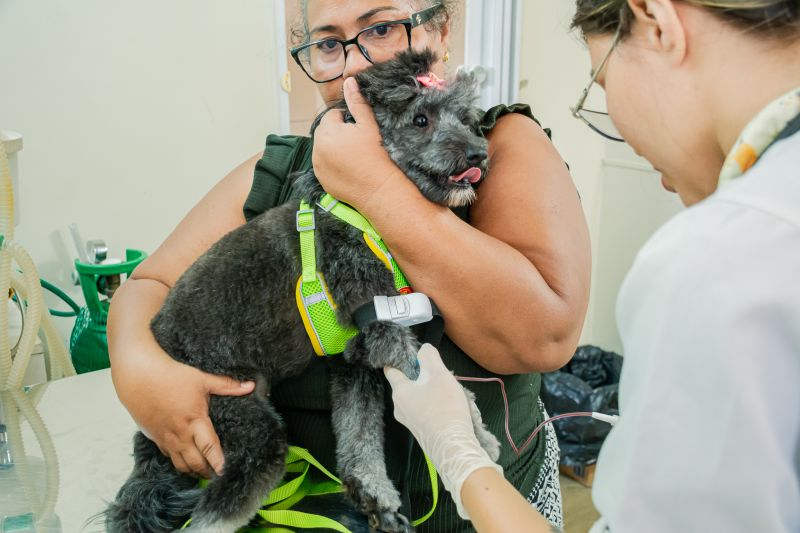  <div class='credito_fotos'>Foto: Karla Reis &nbsp;&nbsp;|&nbsp;&nbsp; <a href='/midias/2025/originais/9137_1b10f580-f962-1c06-4dee-ff903b37419e.jpg' download><i class='fa-solid fa-download'></i> Download</a></div>