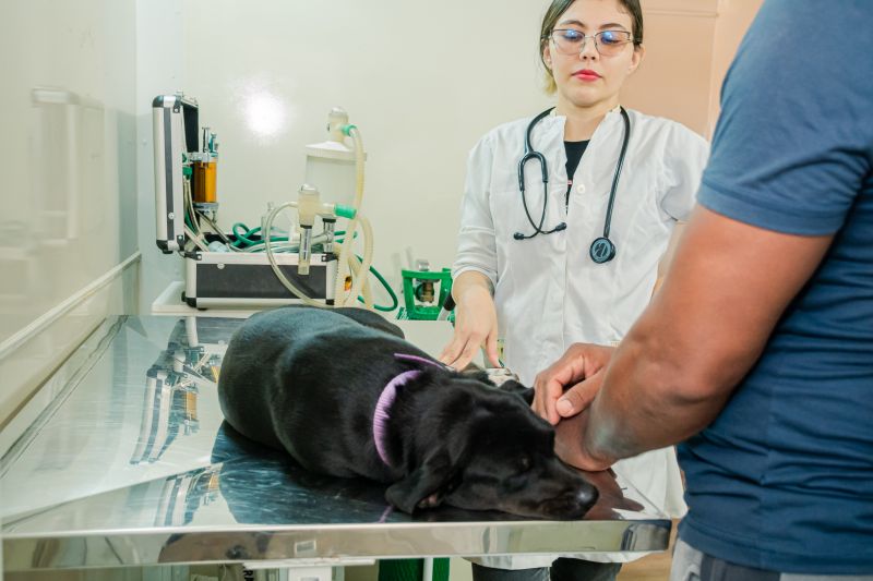  <div class='credito_fotos'>Foto: Karla Reis &nbsp;&nbsp;|&nbsp;&nbsp; <a href='/midias/2025/originais/9137_49a3fcb2-1f8e-eb6e-4812-d7b4b7ec41d9.jpg' download><i class='fa-solid fa-download'></i> Download</a></div>