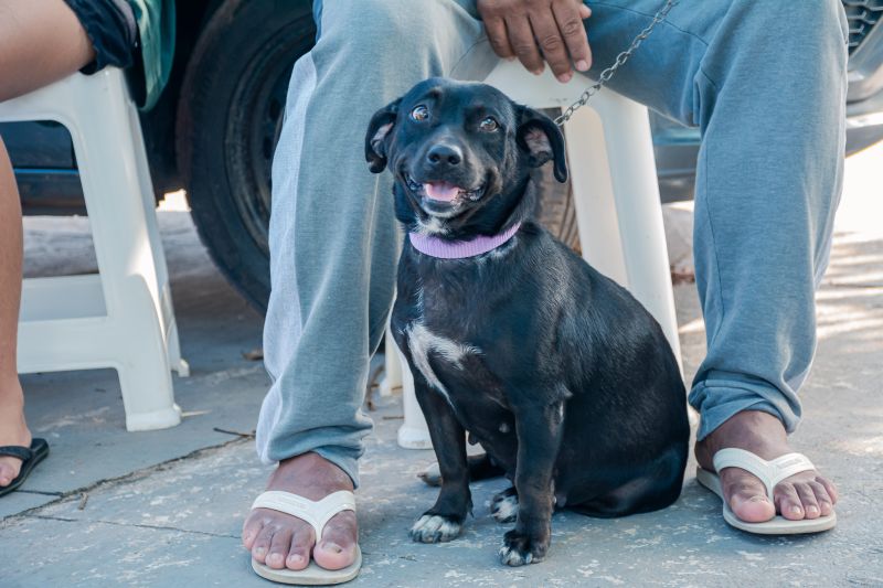  <div class='credito_fotos'>Foto: Karla Reis &nbsp;&nbsp;|&nbsp;&nbsp; <a href='/midias/2025/originais/9137_530116fb-b58a-fa40-0ae9-2b7091e19f26.jpg' download><i class='fa-solid fa-download'></i> Download</a></div>