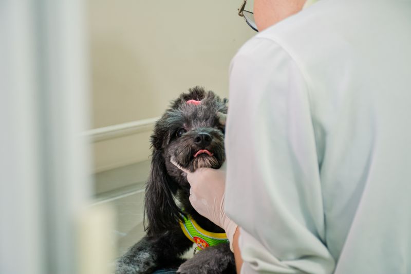  <div class='credito_fotos'>Foto: Karla Reis &nbsp;&nbsp;|&nbsp;&nbsp; <a href='/midias/2025/originais/9137_60953fd6-5d64-9ac7-2247-2213fff94772.jpg' download><i class='fa-solid fa-download'></i> Download</a></div>