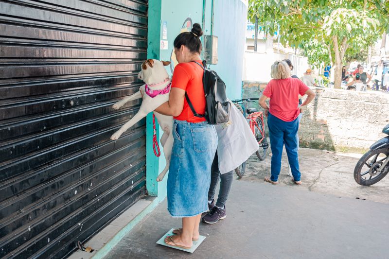  <div class='credito_fotos'>Foto: Karla Reis &nbsp;&nbsp;|&nbsp;&nbsp; <a href='/midias/2025/originais/9137_b769e2d8-753d-616c-6df1-86633b4afcac.jpg' download><i class='fa-solid fa-download'></i> Download</a></div>