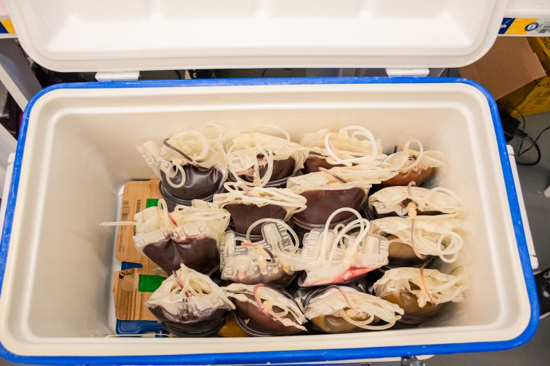  <div class='credito_fotos'>Foto: Karla Reis &nbsp;&nbsp;|&nbsp;&nbsp; <a href='/midias/2025/originais/9148_6bcabedb-e47e-4e58-d9e2-9ad597636705.jpg' download><i class='fa-solid fa-download'></i> Download</a></div>