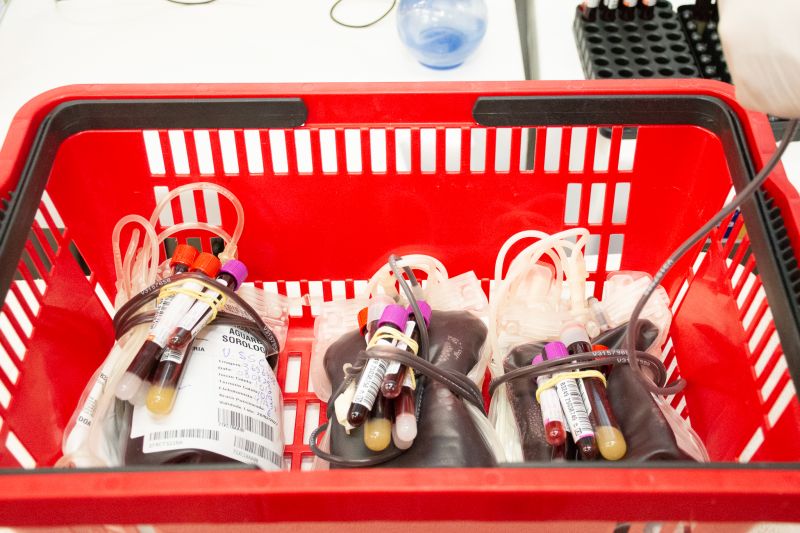  <div class='credito_fotos'>Foto: Karla Reis &nbsp;&nbsp;|&nbsp;&nbsp; <a href='/midias/2025/originais/9148_6cdccf3c-5caa-ec78-d3e7-a734dd76e589.jpg' download><i class='fa-solid fa-download'></i> Download</a></div>