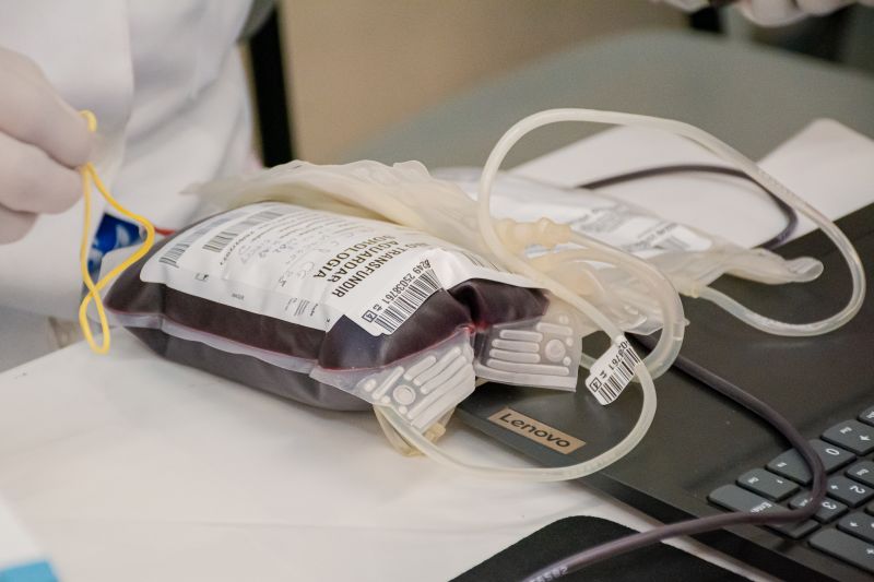  <div class='credito_fotos'>Foto: Karla Reis &nbsp;&nbsp;|&nbsp;&nbsp; <a href='/midias/2025/originais/9148_9aae5c6b-3afa-c097-5c01-d7122e045a14.jpg' download><i class='fa-solid fa-download'></i> Download</a></div>