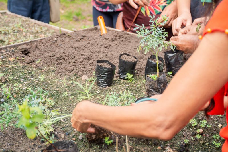  <div class='credito_fotos'>Foto: Karla Reis &nbsp;&nbsp;|&nbsp;&nbsp; <a href='/midias/2025/originais/9150_0bc40757-6326-19c2-e2ba-8a97c031c2f3.jpg' download><i class='fa-solid fa-download'></i> Download</a></div>