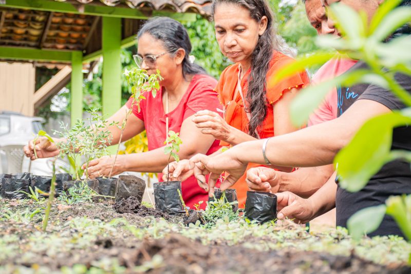  <div class='credito_fotos'>Foto: Karla Reis &nbsp;&nbsp;|&nbsp;&nbsp; <a href='/midias/2025/originais/9150_0c579c9f-5979-f1b6-ef85-fc94051ae412.jpg' download><i class='fa-solid fa-download'></i> Download</a></div>