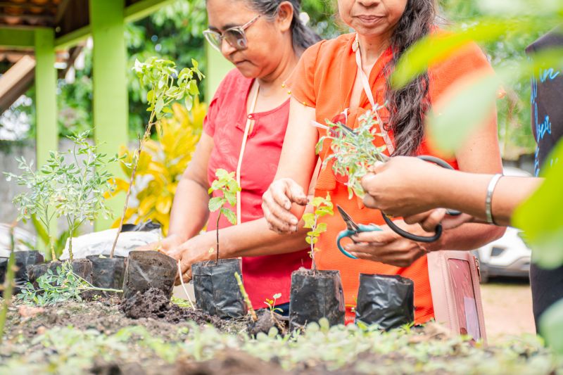  <div class='credito_fotos'>Foto: Karla Reis &nbsp;&nbsp;|&nbsp;&nbsp; <a href='/midias/2025/originais/9150_22d8f758-f356-aeb2-3a99-93198ec4ef56.jpg' download><i class='fa-solid fa-download'></i> Download</a></div>