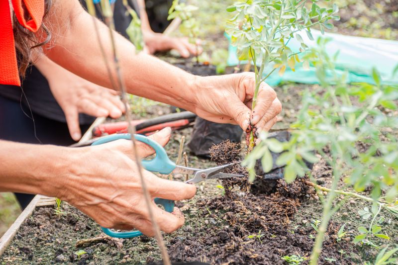  <div class='credito_fotos'>Foto: Karla Reis &nbsp;&nbsp;|&nbsp;&nbsp; <a href='/midias/2025/originais/9150_6ef8c1c4-6653-c3f7-4653-b704cef40a94.jpg' download><i class='fa-solid fa-download'></i> Download</a></div>