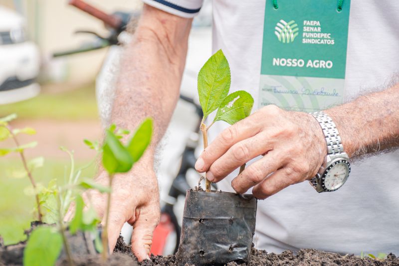  <div class='credito_fotos'>Foto: Karla Reis &nbsp;&nbsp;|&nbsp;&nbsp; <a href='/midias/2025/originais/9150_91635028-b4db-217c-5608-01d9bbad048b.jpg' download><i class='fa-solid fa-download'></i> Download</a></div>