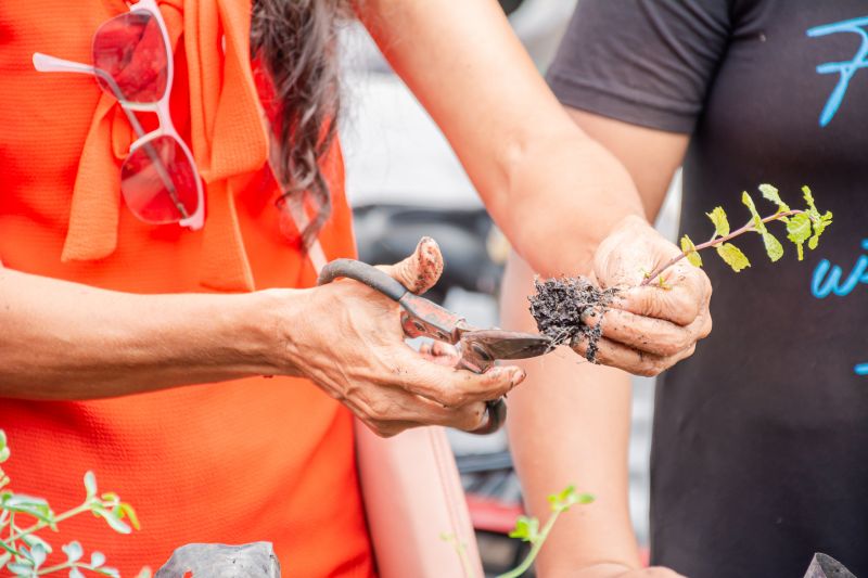  <div class='credito_fotos'>Foto: Karla Reis &nbsp;&nbsp;|&nbsp;&nbsp; <a href='/midias/2025/originais/9150_98b09221-98ff-dc15-73fa-c25ab4b5f96f.jpg' download><i class='fa-solid fa-download'></i> Download</a></div>