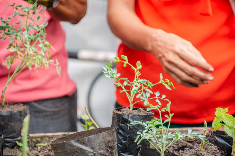  <div class='credito_fotos'>Foto: Karla Reis &nbsp;&nbsp;|&nbsp;&nbsp; <a href='/midias/2025/originais/9150_bcdffcb2-4410-bfe8-d46c-4fbd35e37a81.jpg' download><i class='fa-solid fa-download'></i> Download</a></div>