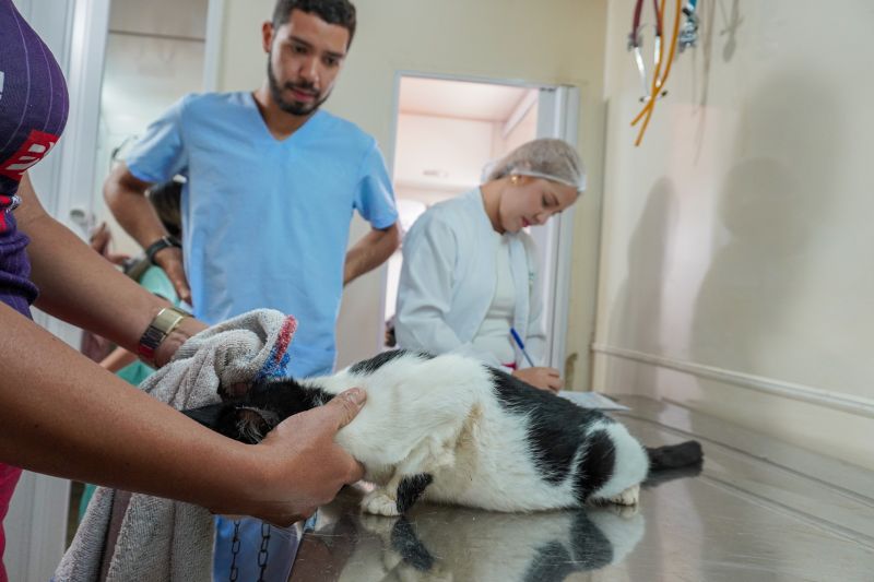  <div class='credito_fotos'>Foto: João Pedro Rodrigues &nbsp;&nbsp;|&nbsp;&nbsp; <a href='/midias/2025/originais/9162_b1059c82-6ac3-6a32-4fa2-245bc09dcbbe.jpg' download><i class='fa-solid fa-download'></i> Download</a></div>